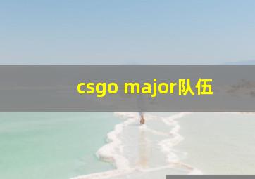 csgo major队伍